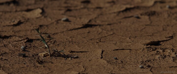 drought drought