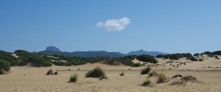 dune-di-piscinas dune-di-piscinas